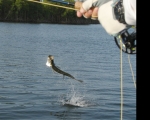 Tecnicas de Pesca en los Bajos (flats)